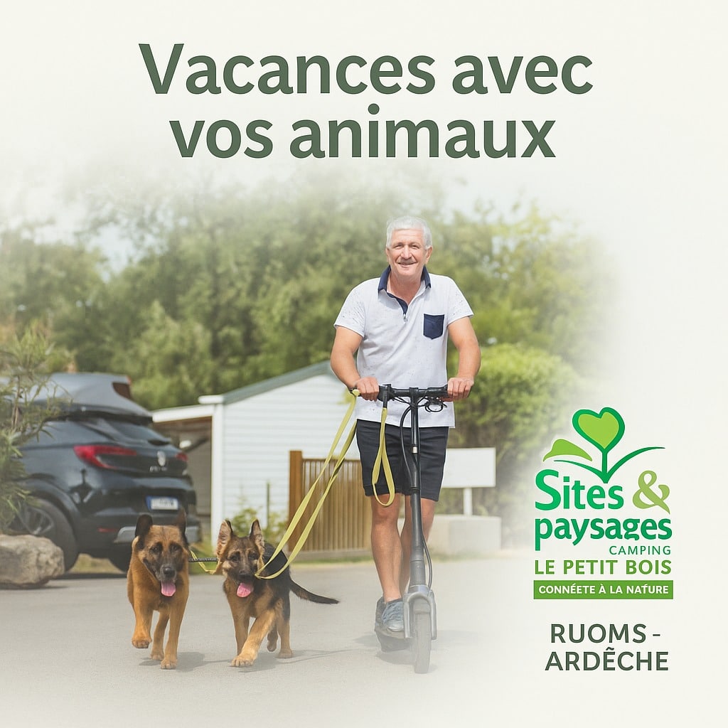 Vos vacances avec vos animaux de compagnie